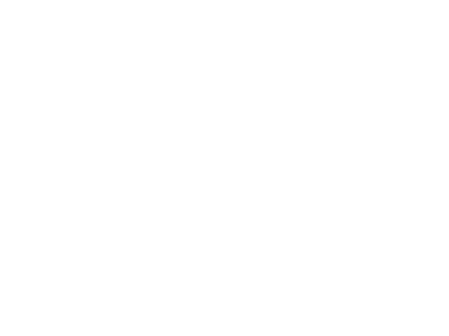 DionStudio